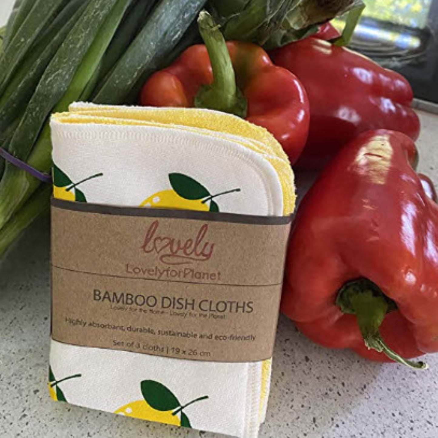 https://www.beeskneesecostore.com/cdn/shop/files/bamboo-dish-cloth-with-vegetables.jpg?v=1685873126&width=1445